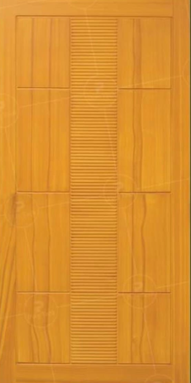 house door design